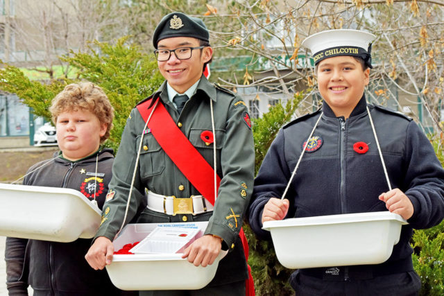 cadets poppy campaign