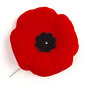 lapel poppy pin