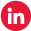 icon-in