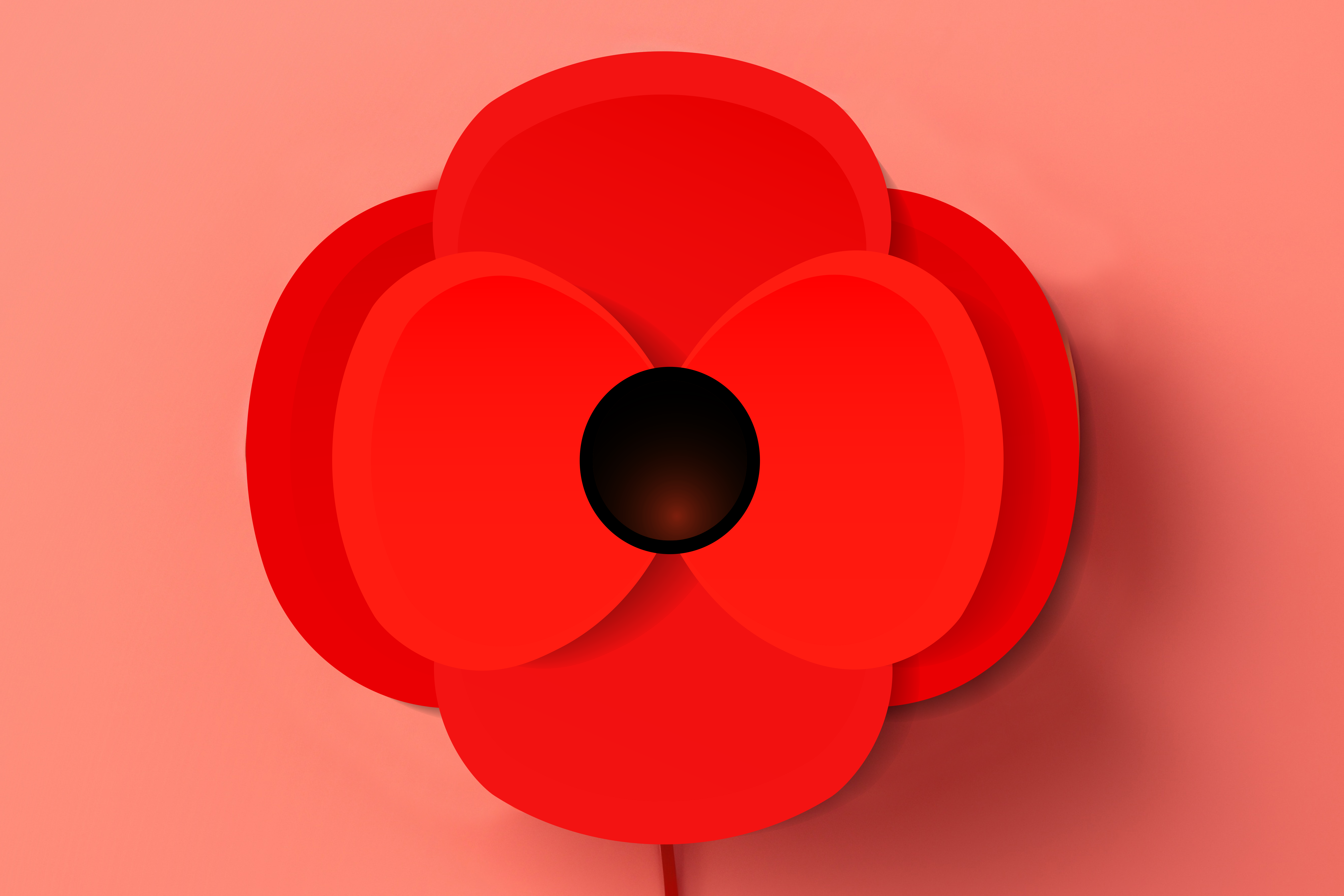 Make a Poppy